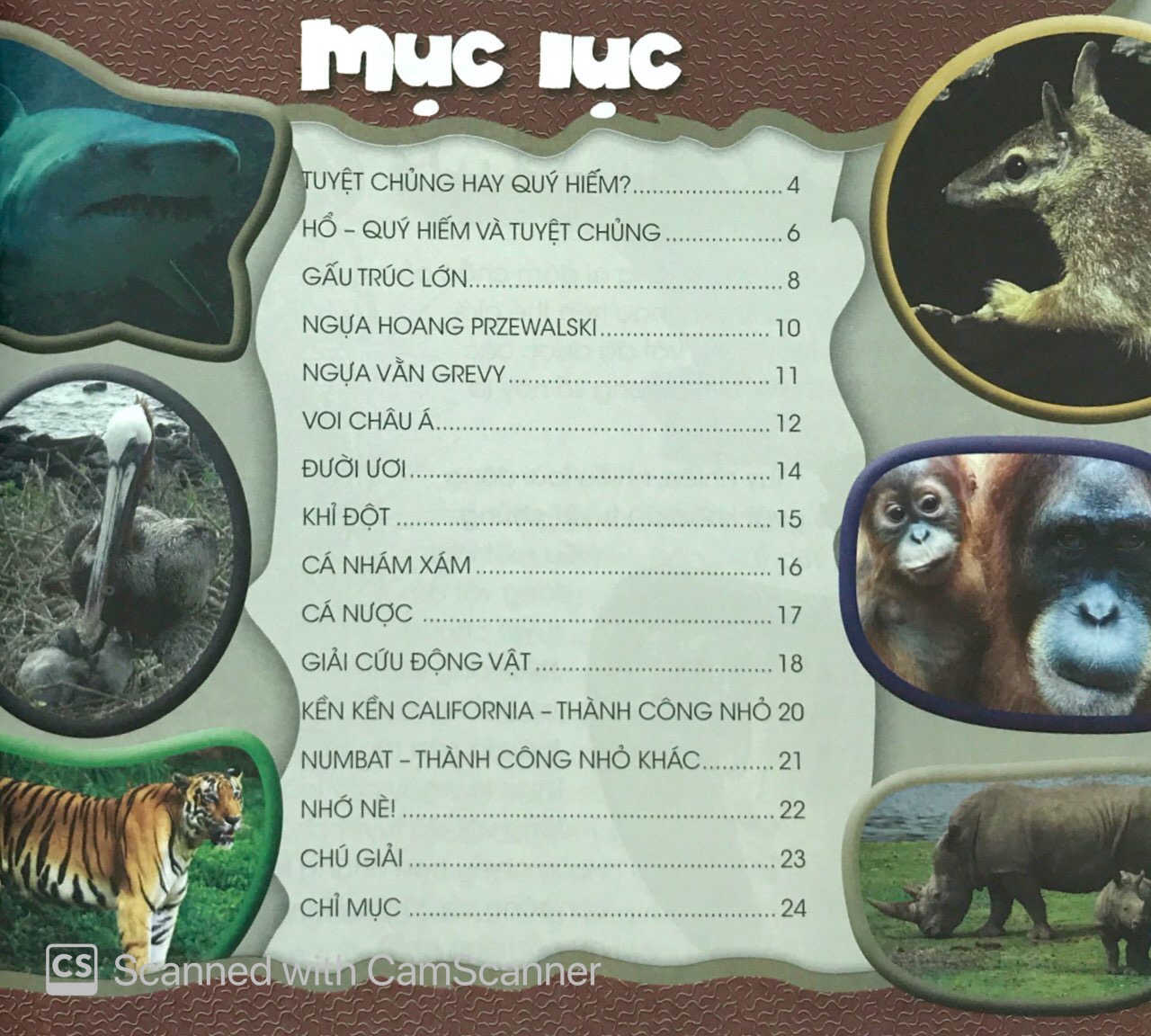 độc, lạ, phi thường - bên bờ tuyệt chủng - Ảnh 2