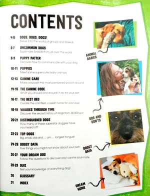 dogs (pet expert) - Ảnh 5