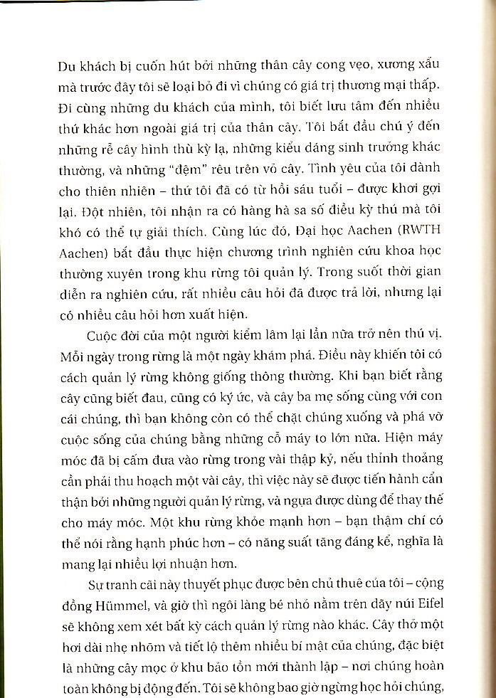 đời sống bí ẩn của cây - Ảnh 4