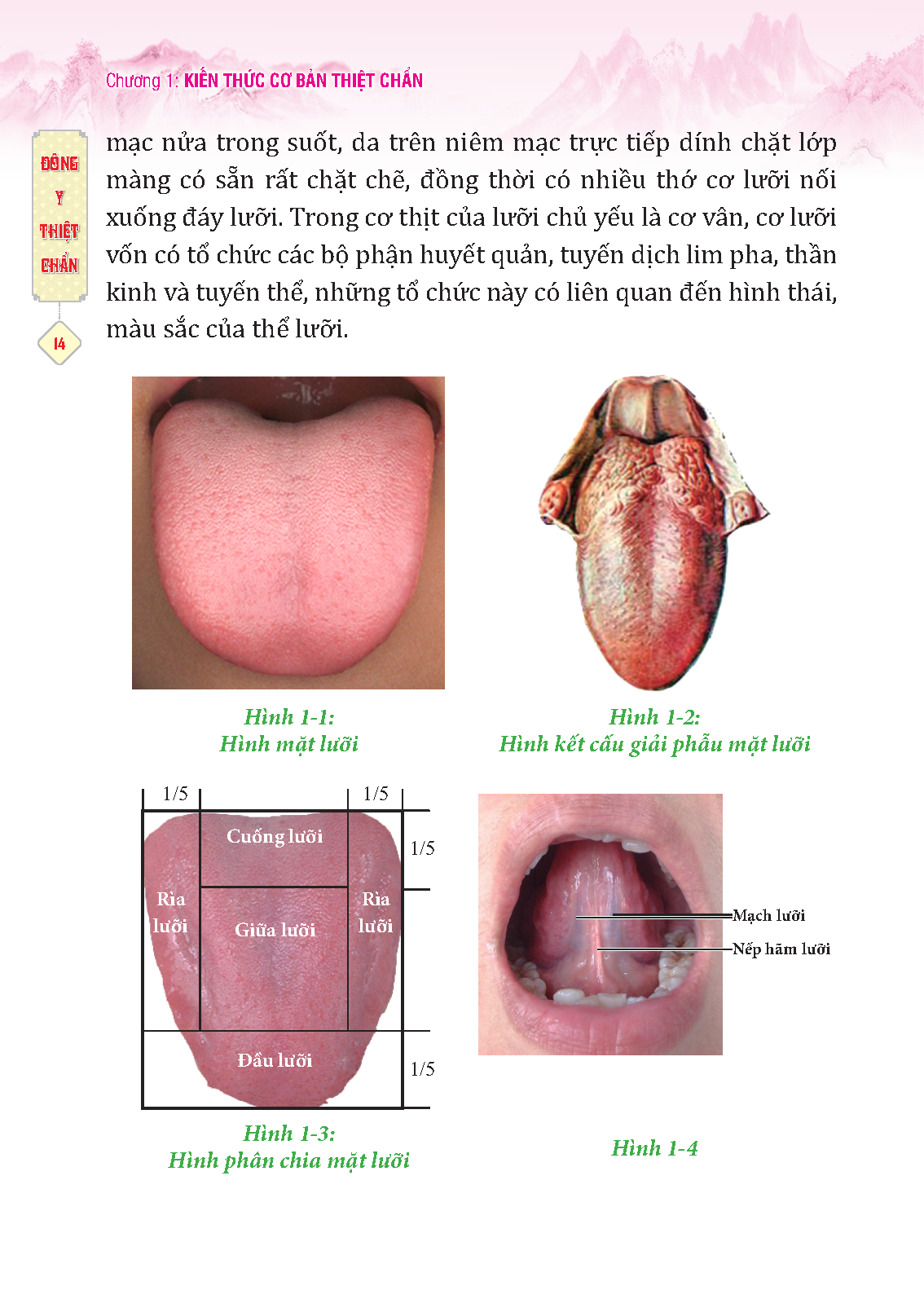 đông y thiệt chẩn (tái bản 2023) - Ảnh 4