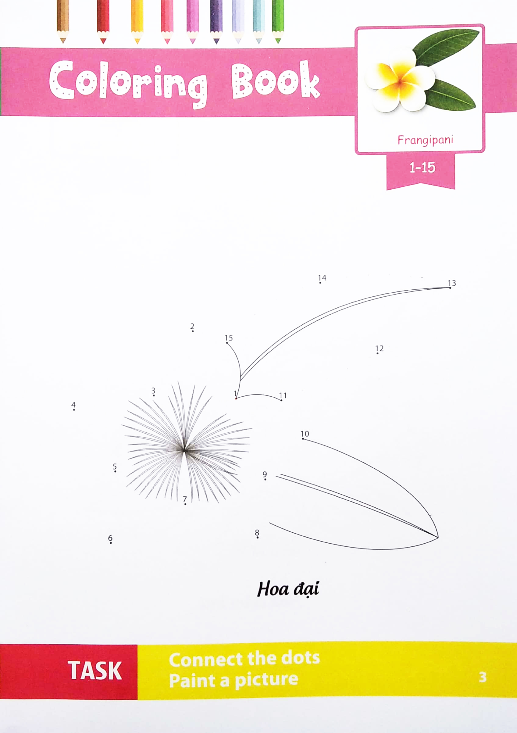 dot to dot coloring book - nối số & tô màu - các loài hoa - Ảnh 5