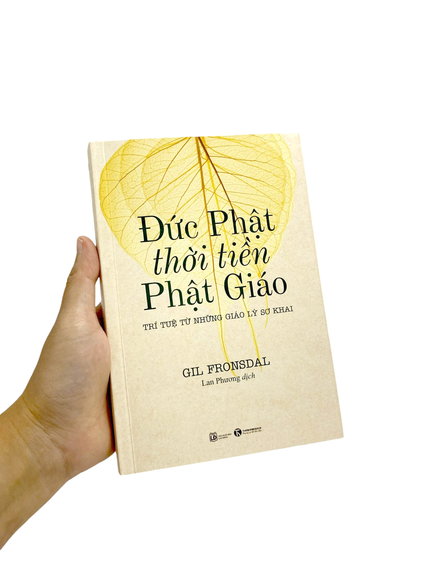 đức phật thời tiền phật giáo - trí tuệ từ những giáo lý sơ khai - Ảnh 17