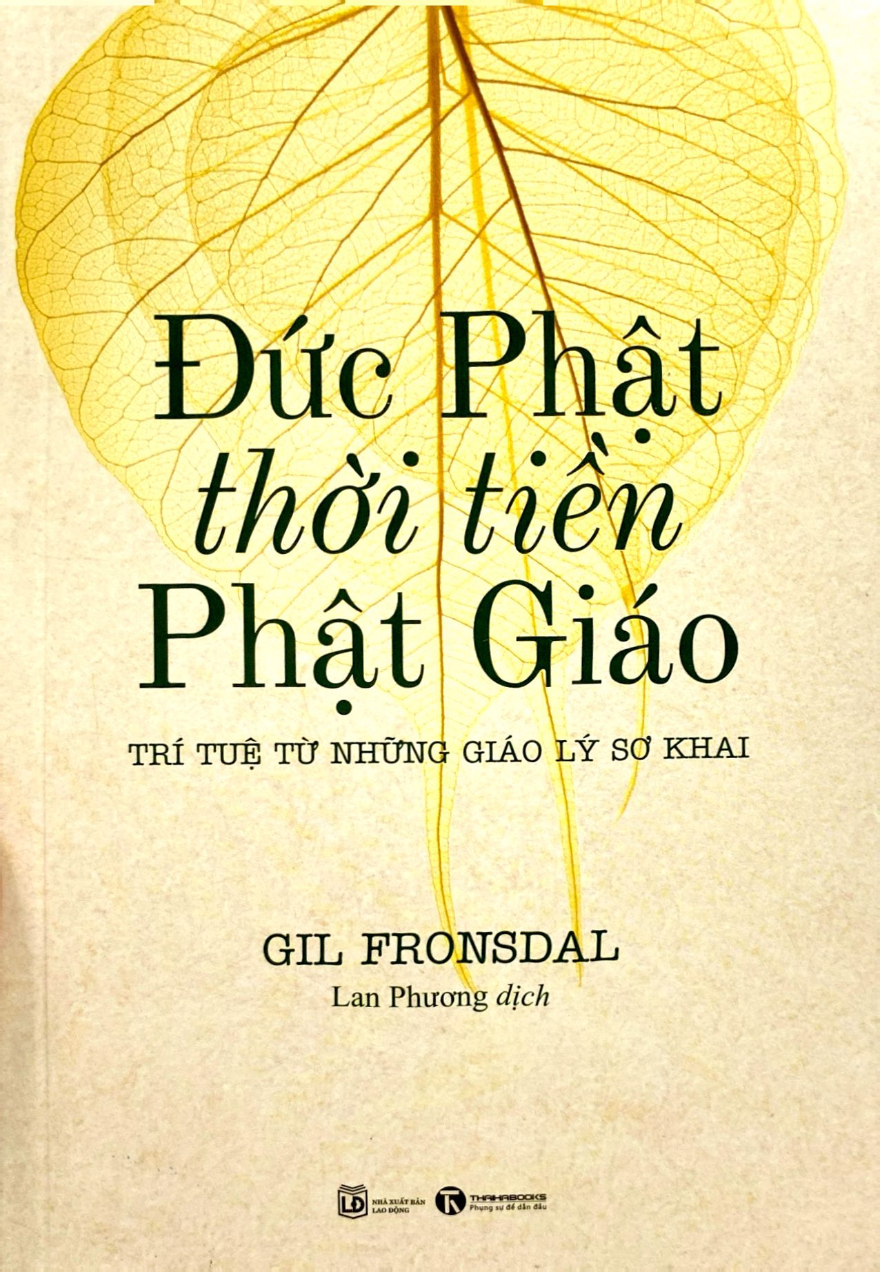 đức phật thời tiền phật giáo - trí tuệ từ những giáo lý sơ khai - Ảnh 3
