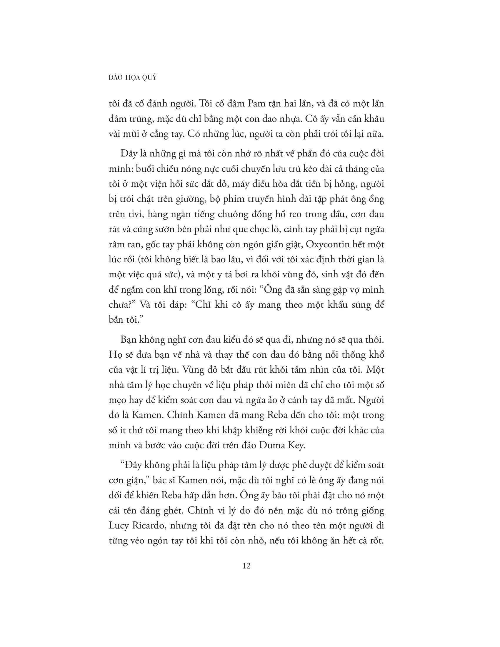 Duma Key - Đảo Hoạ Quỷ - Ảnh 13