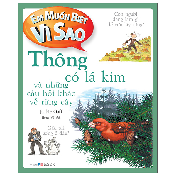 em muốn biết vì sao - thông có lá kim và những câu hỏi khác về rừng cây