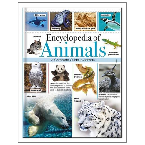 encyclopedia of animals