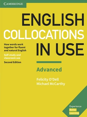 english collocations in use advanced book with answers - Ảnh 2