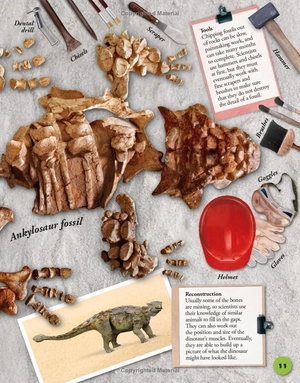everything you need to know about dinosaurs - Ảnh 15
