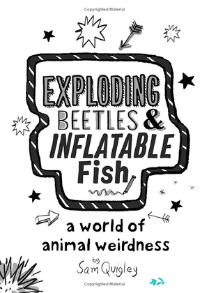 exploding beetles and inflatable fish - Ảnh 3