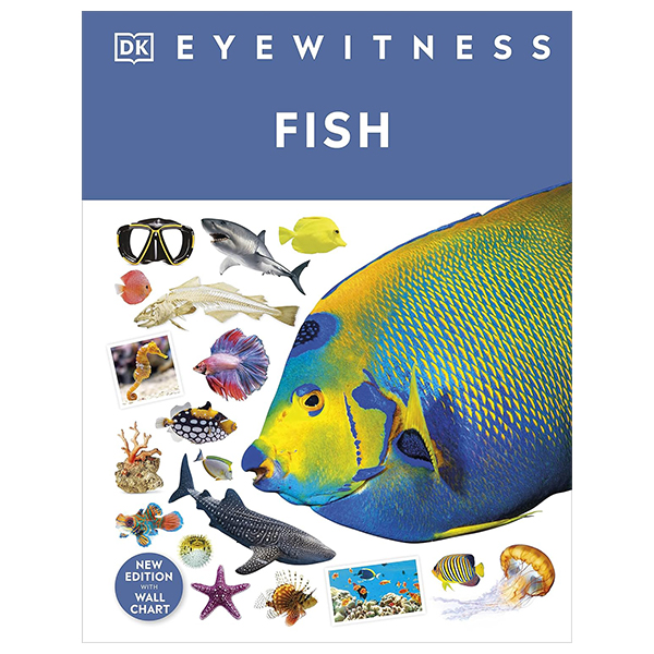 eyewitness - fish