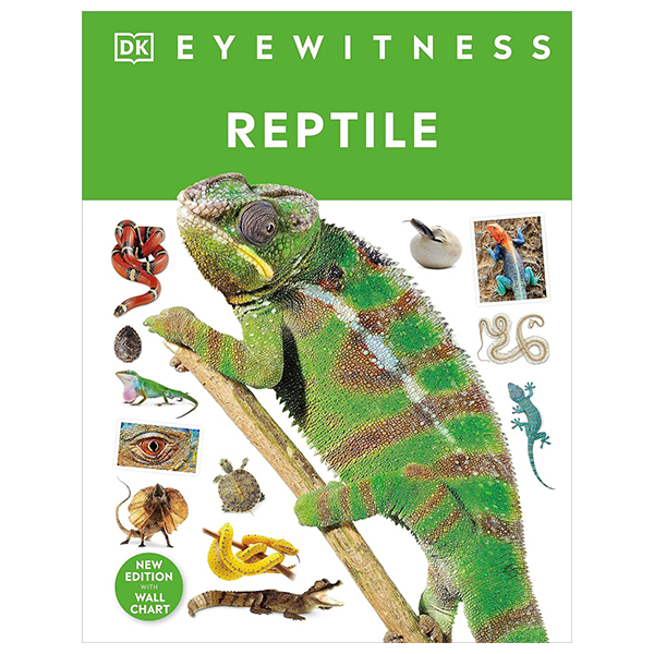 eyewitness - reptile