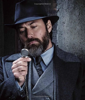 fantastic beasts - the secrets of dumbledore: movie magic - Ảnh 4