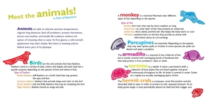 feathers and hair, what animals wear - Ảnh 10