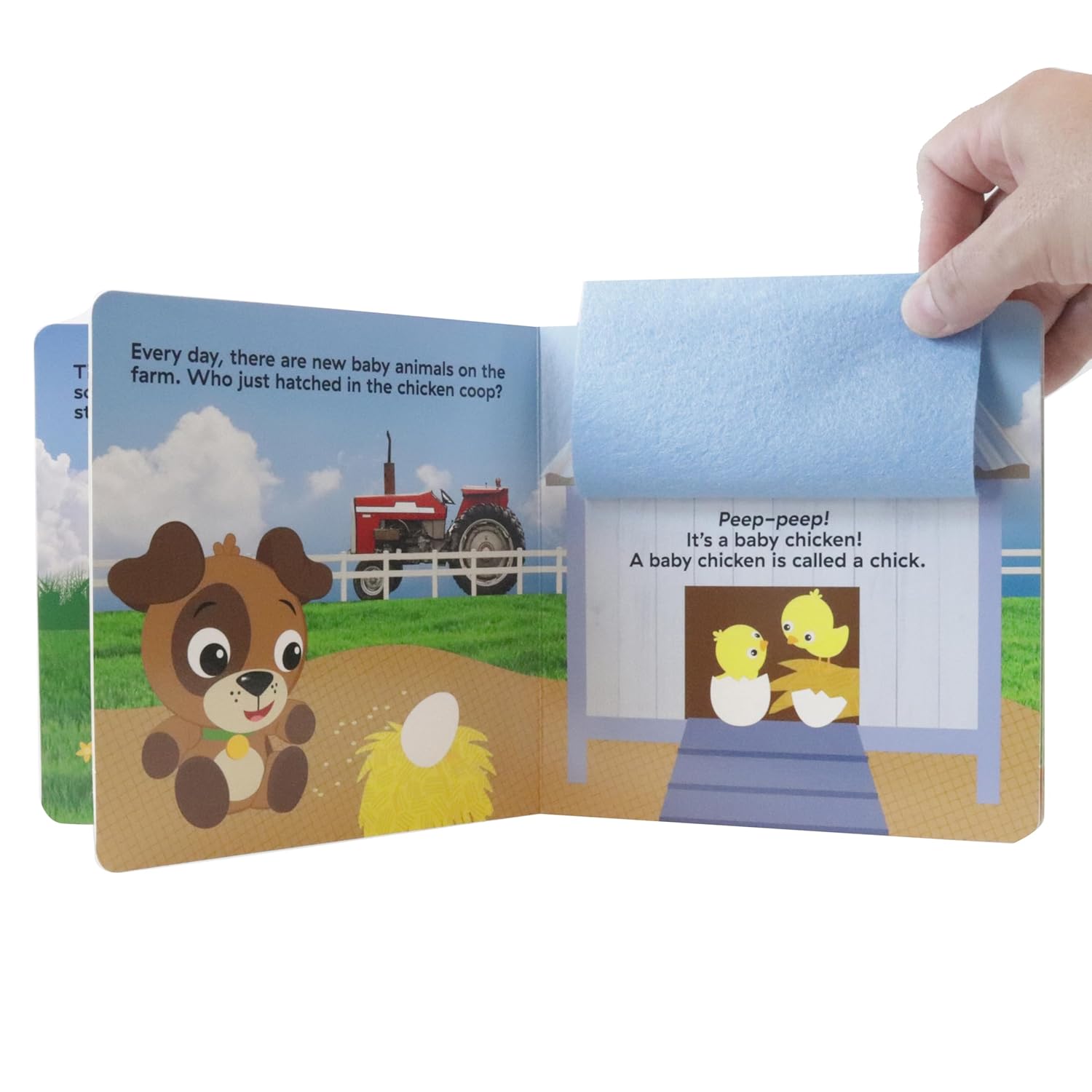 Felt Flaps - Baby Einstein Discover A Farm - Ảnh 7