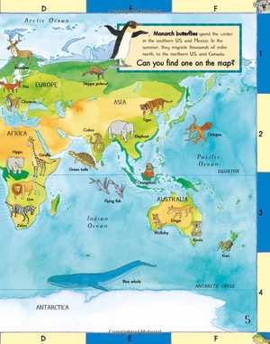 first animal picture atlas - Ảnh 6