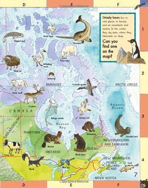 first animal picture atlas - Ảnh 8