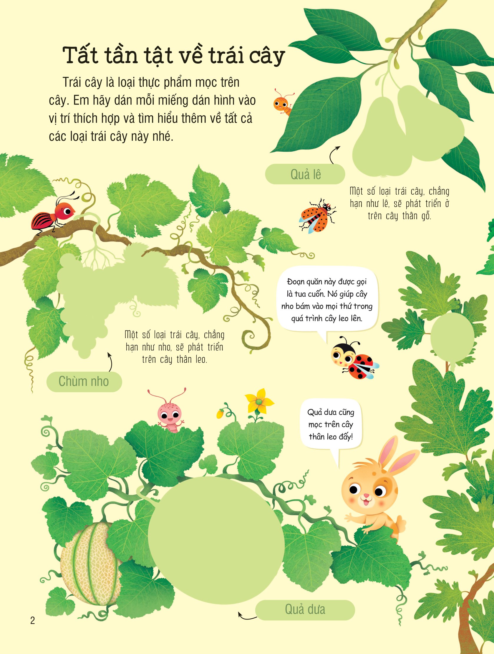 first sticker book - sách dán hình đầu đời cho bé - trái cây và rau củ - Ảnh 2