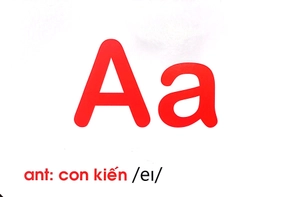 flash card tiếng anh -the english alphabet (bảng chữ cái tiếng anh) (tái bản 2023) - Ảnh 5