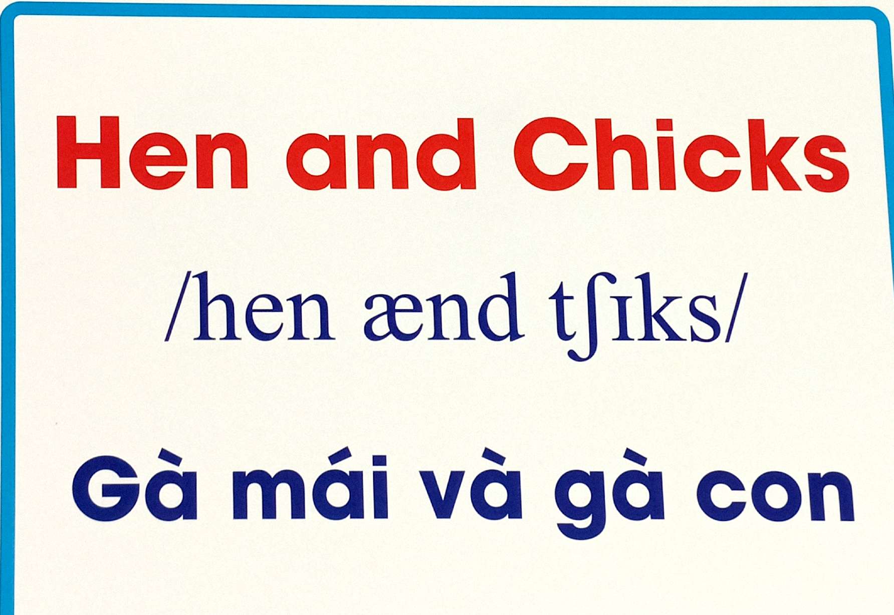 flashcard động vật nuôi - domestic animals - Ảnh 6