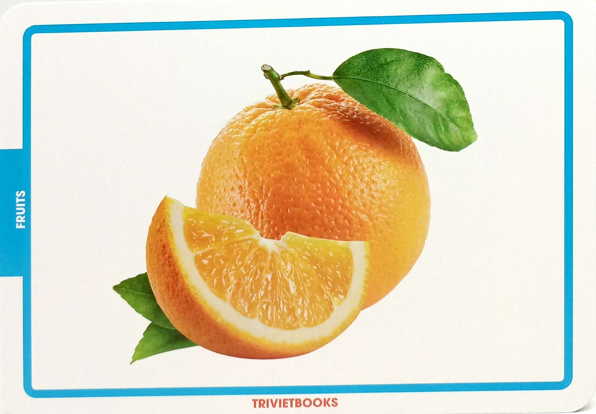 flashcard trái cây - fruits - Ảnh 6