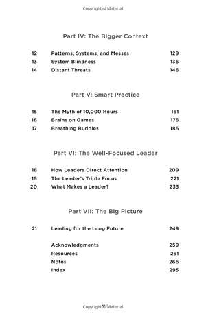 focus: the hidden driver of excellence - Ảnh 6
