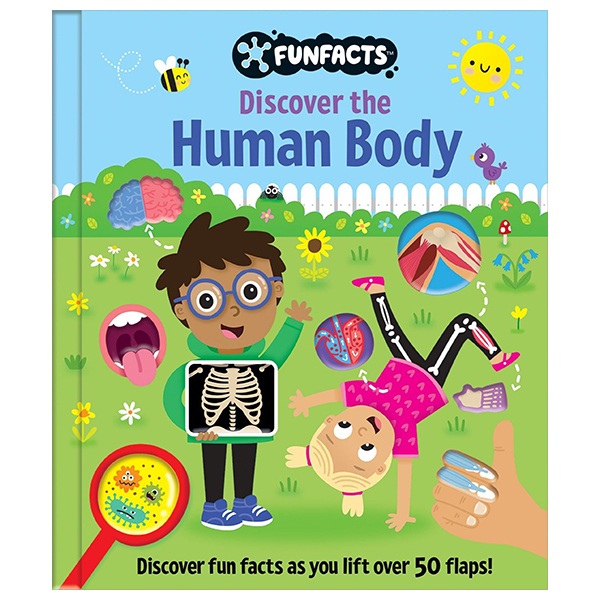 funfacts - lift the flap board book - discover the human body