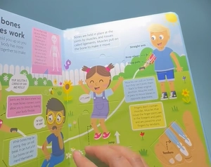 funfacts - lift the flap board book - discover the human body - Ảnh 5
