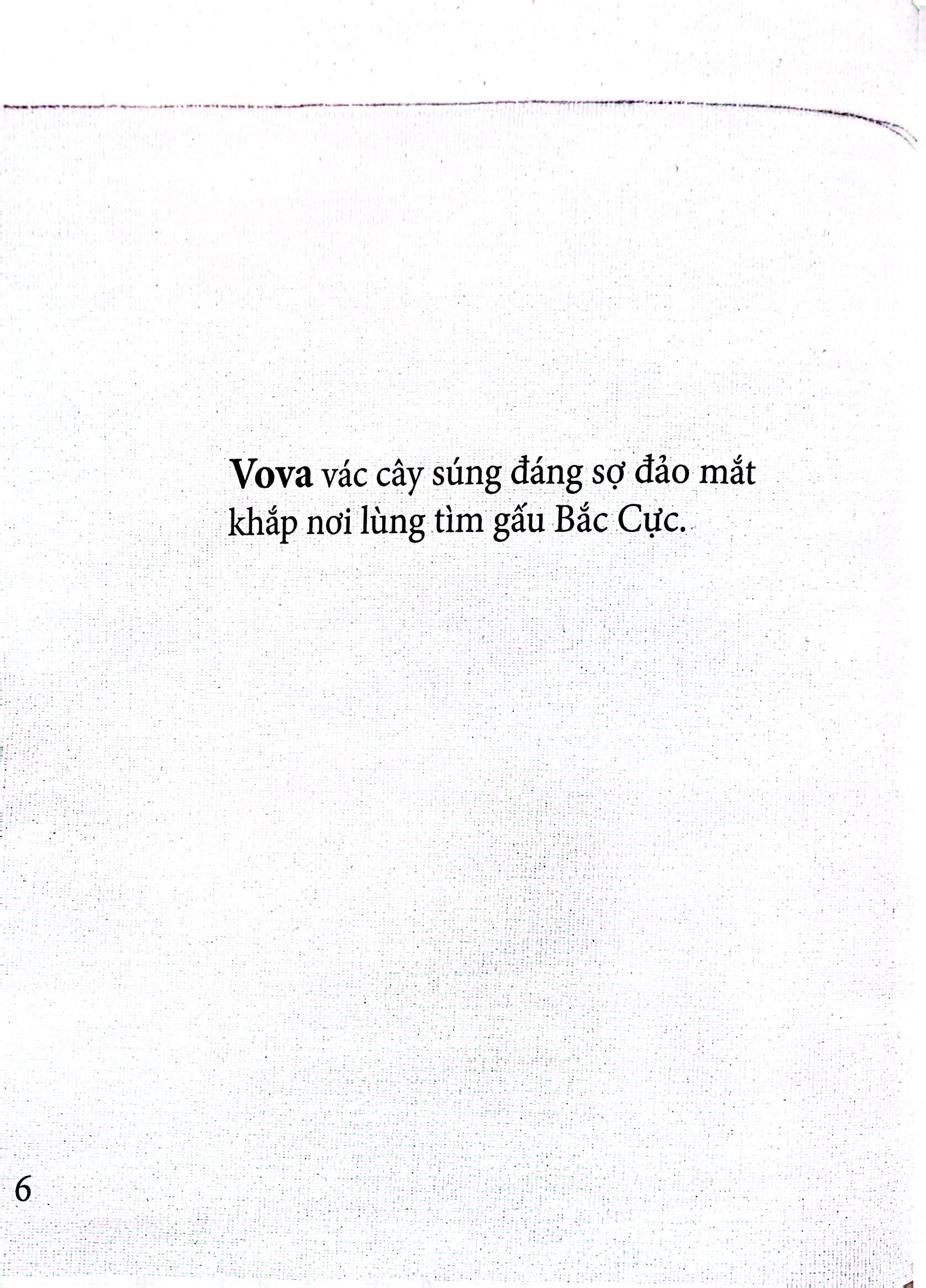 gấu koda - cái mũi đen - Ảnh 5