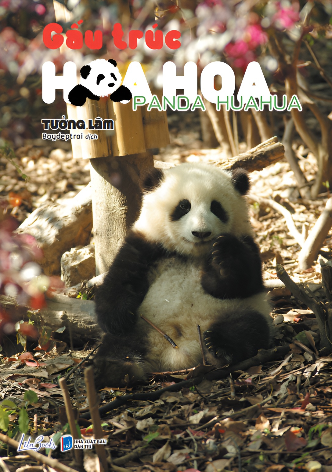 gấu trúc hoa hoa - tặng kèm 2 bookmark hai mặt + 4 postcard hai mặt kèm chân đế + 1 card bo góc ánh trai lấp lánh ngẫu nhiên 1 trong 4 mẫu - Ảnh 2