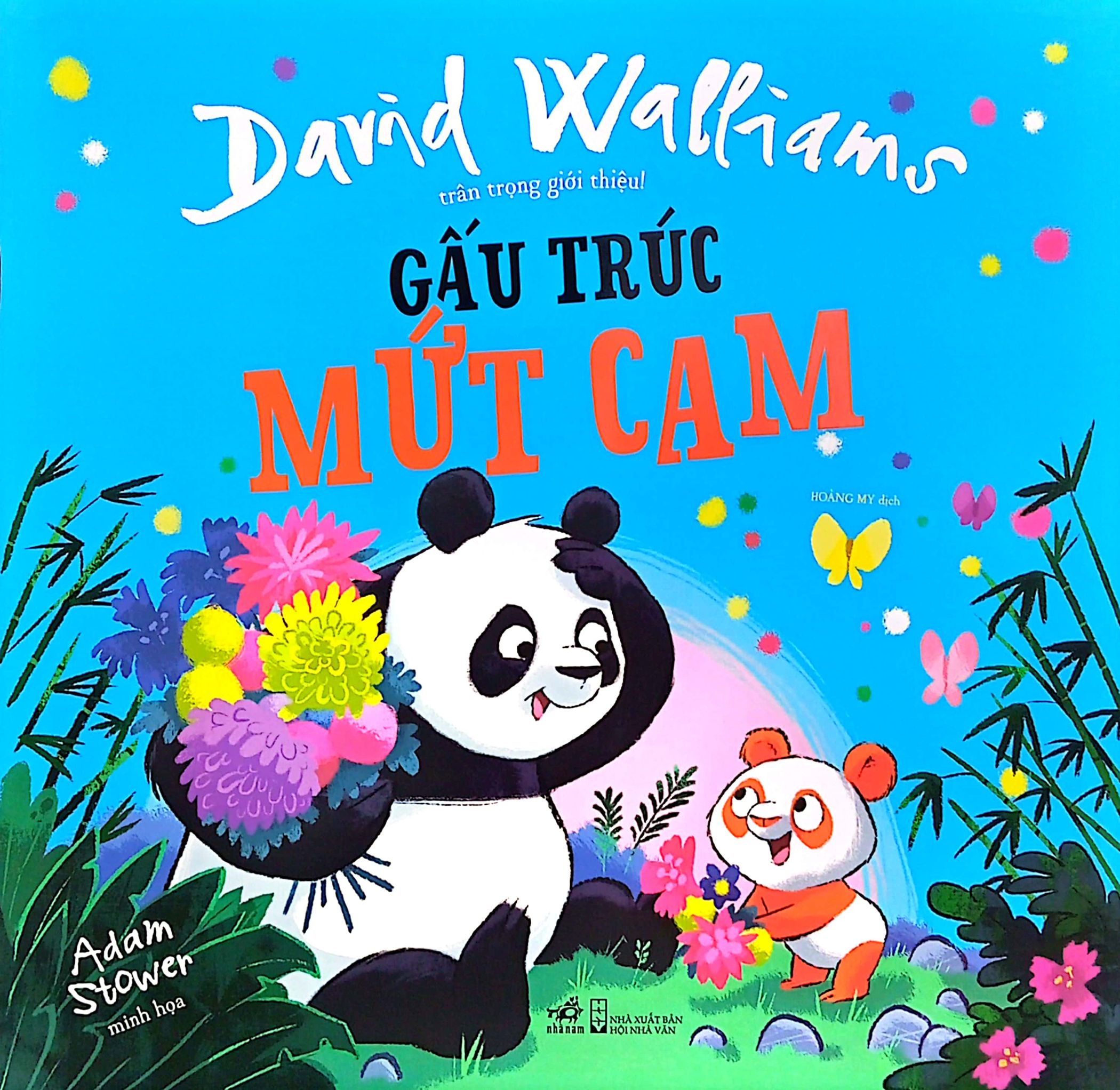 gấu trúc mứt cam - Ảnh 2