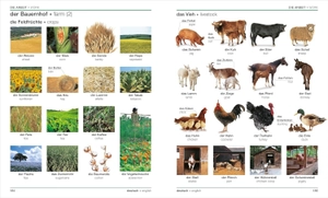 german english bilingual visual dictionary - Ảnh 5