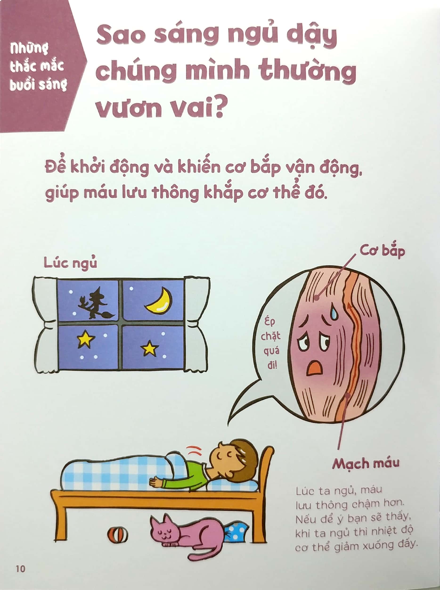 gi gỉ gì gi, cái gì cũng biết - 130 bí mật vui nhất cho tuổi tiểu học - Ảnh 6