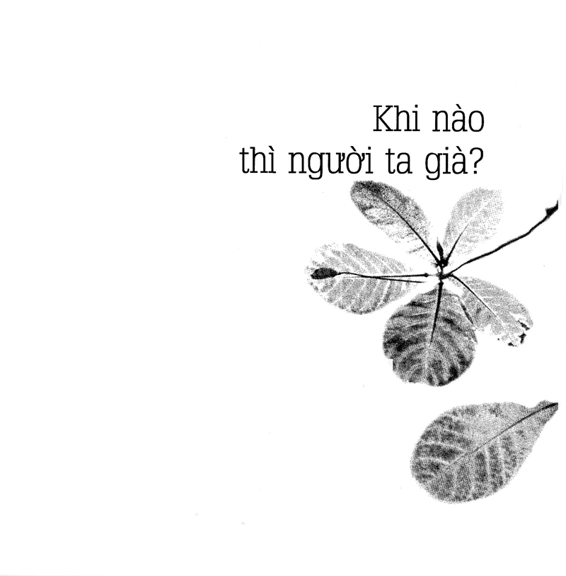già ơi...chào bạn! - Ảnh 13
