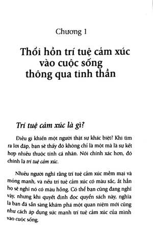 giải mã trí tuệ cảm xúc - Ảnh 3
