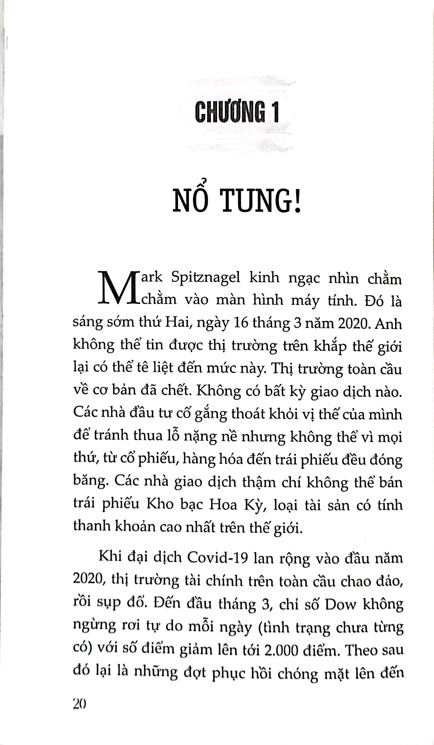 giao dịch thiên nga đen - Ảnh 5