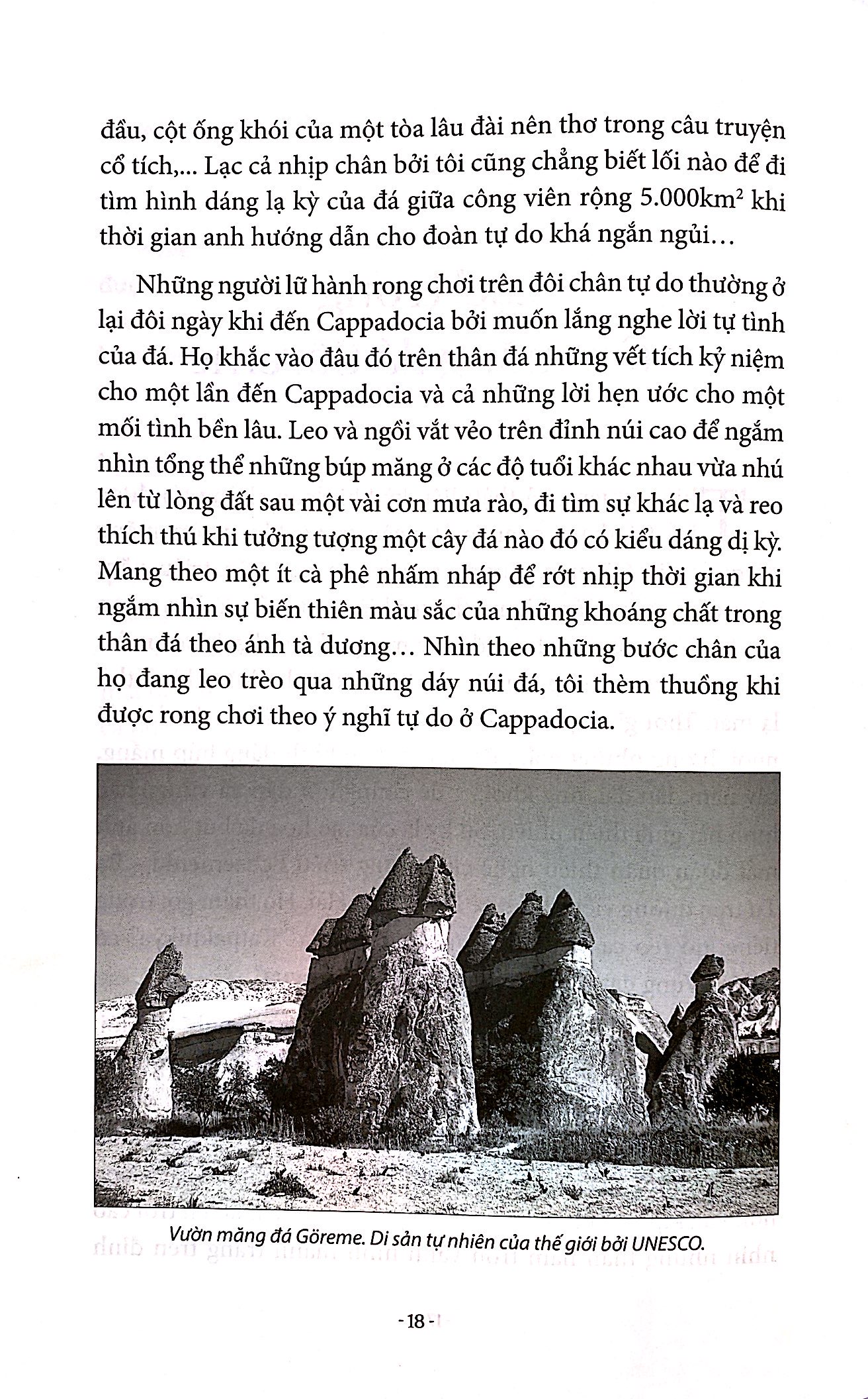 giọt cà phê thơm ottoman - Ảnh 20