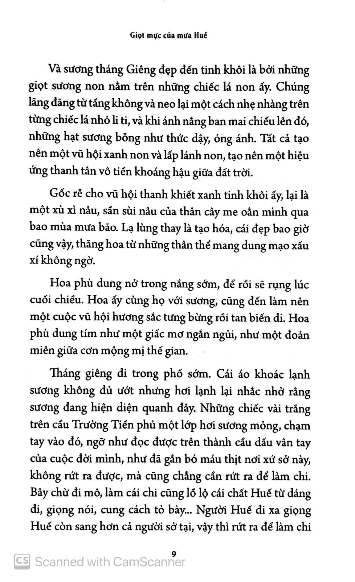 giọt mực của mưa huế - Ảnh 10