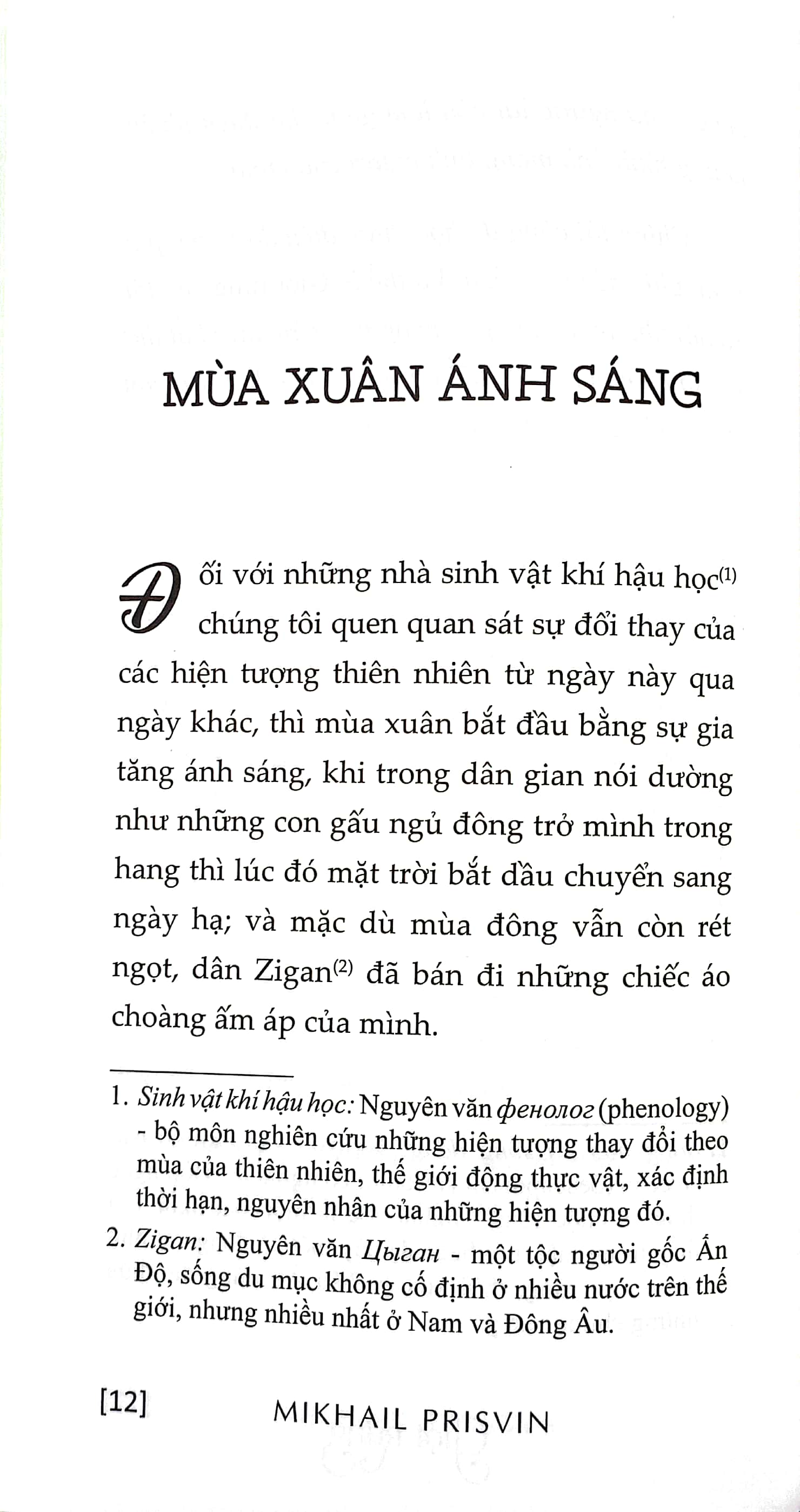 giọt rừng - Ảnh 4