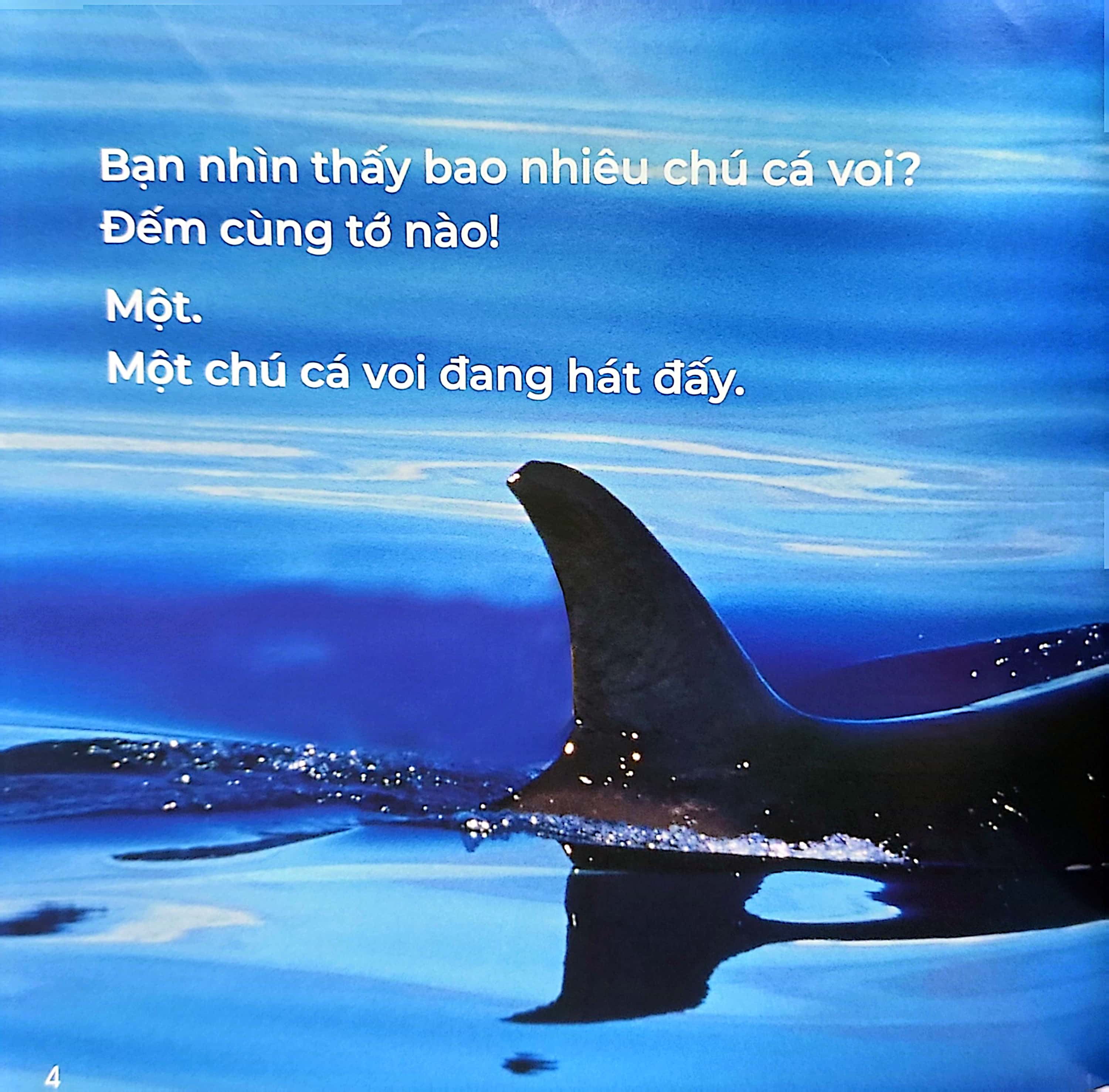 gõ cửa thiên nhiên - bài ca biển cả - học đếm - the song from the sea - Ảnh 5