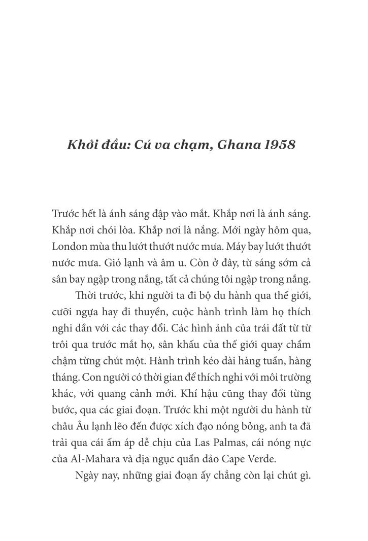 gỗ mun - Ảnh 5