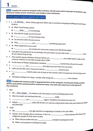grammar and vocabulary for advanced book with answers and audio: self-study grammar reference and practice - Ảnh 6