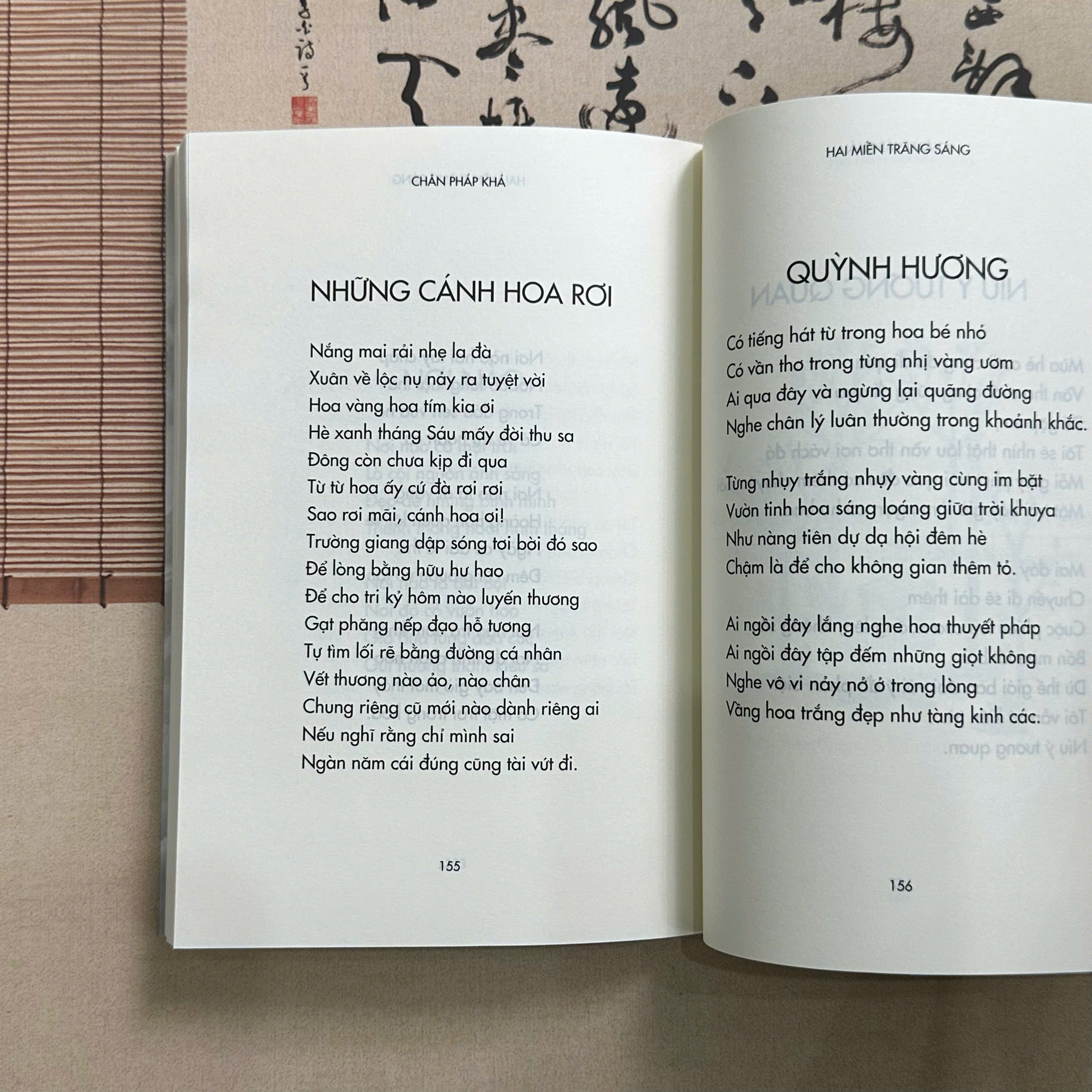 Hai Miền Trăng Sáng - Ảnh 5