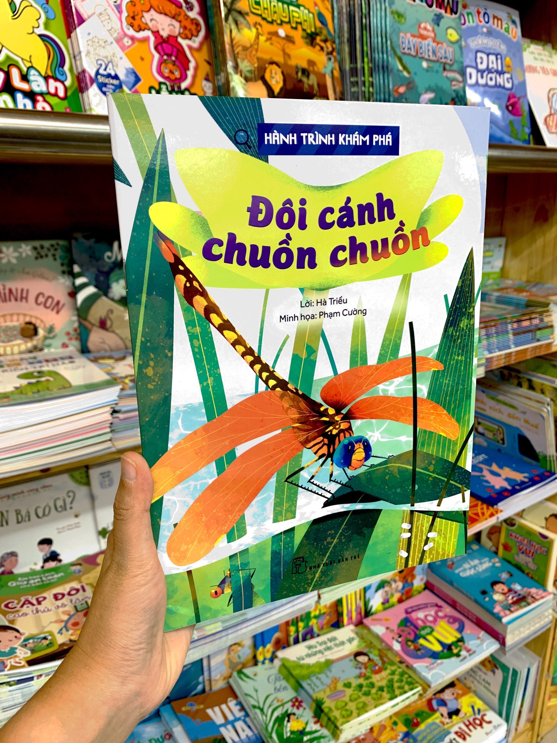 hành trình khám phá - đôi cánh chuồn chuồn - Ảnh 9