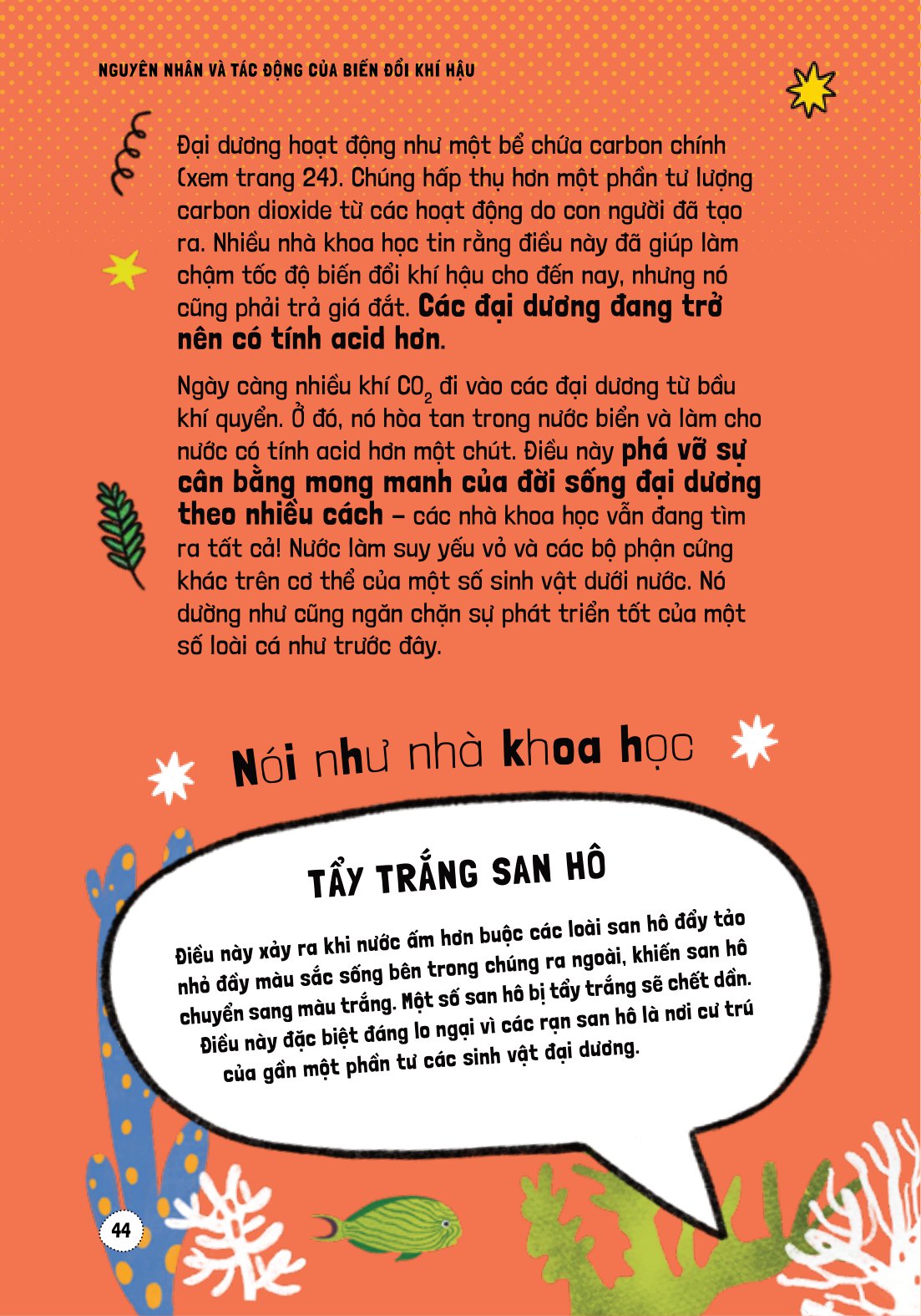 háo hức học hỏi - stem - nguyên nhân và tác động của biến đổi khí hậu… và làm thế nào để bảo vệ hành tinh của chúng ta - Ảnh 10