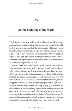 harper perennial modern thought - the essential schopenhauer - key selections from the world as will and representation and other writings - Ảnh 10