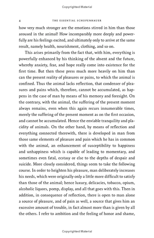 harper perennial modern thought - the essential schopenhauer - key selections from the world as will and representation and other writings - Ảnh 16