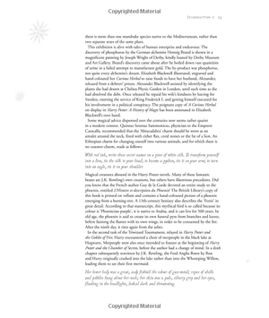 harry potter - a history of magic: the book of the exhibition - Ảnh 8