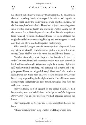 harry potter and the chamber of secrets (hardback) - Ảnh 8