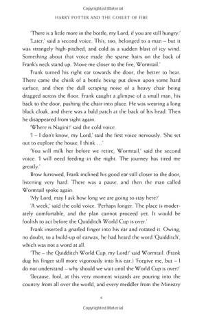 harry potter and the goblet of fire - Ảnh 9