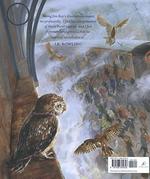 harry potter and the philosopher's stone - illustrated uk edition - Ảnh 13